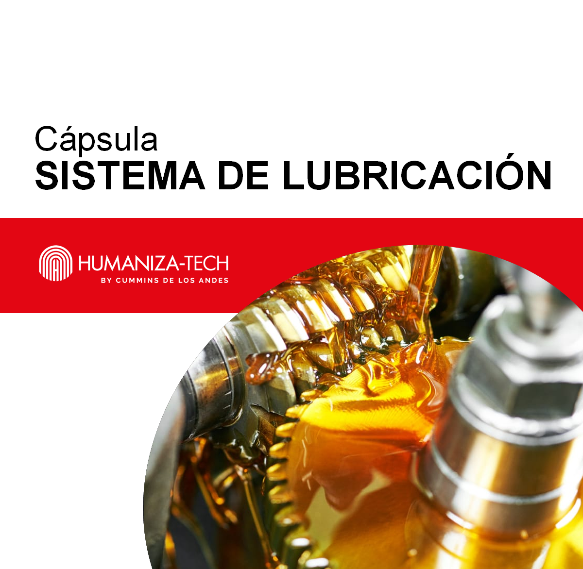Sistema de lubricación 